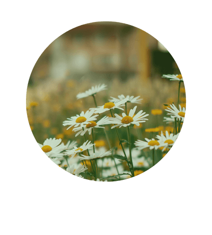 Nature image for quotes gallery